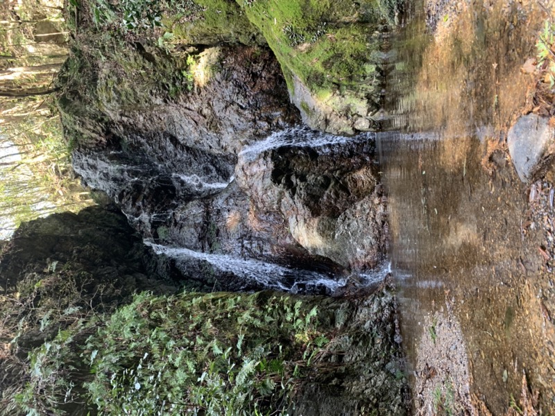 日和田山、物見山